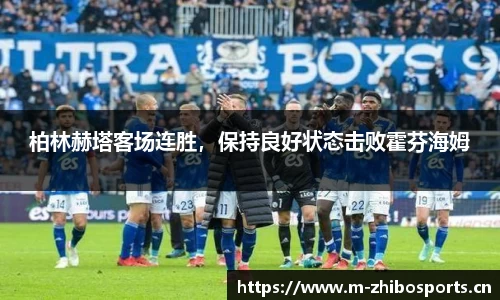 智博体育
