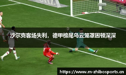智博体育