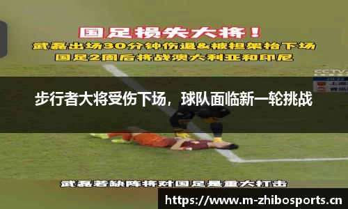 智博体育