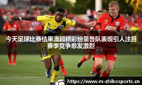 智博体育