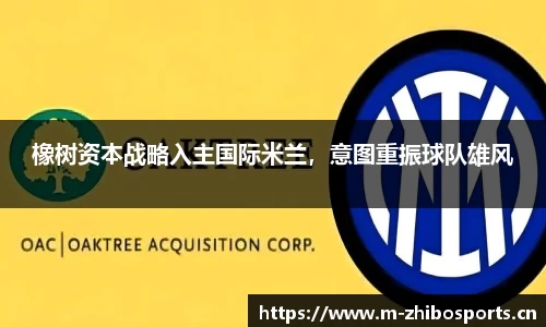 智博体育