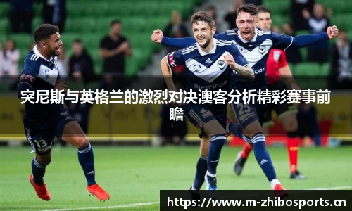 智博体育